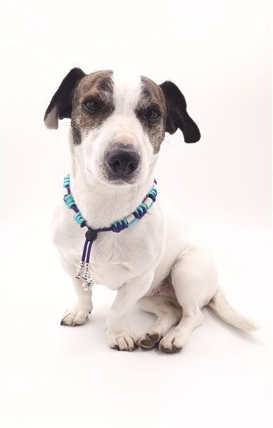 Anti-tekenband - Paracord - Blue