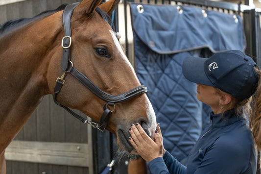 Licol ergonomique en cuir