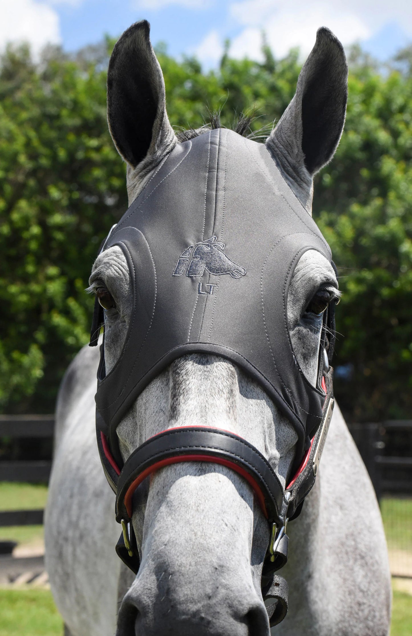 Fenwick LT-Maske
