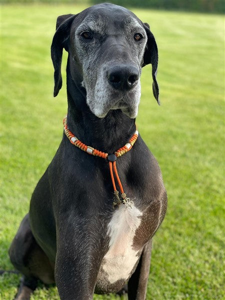 Anti-tekenband - Paracord - Orange