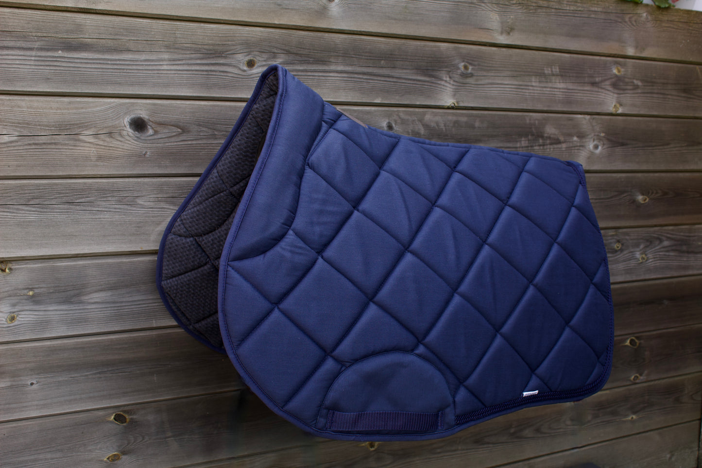 Leon - Full Midnight Blue Finish
