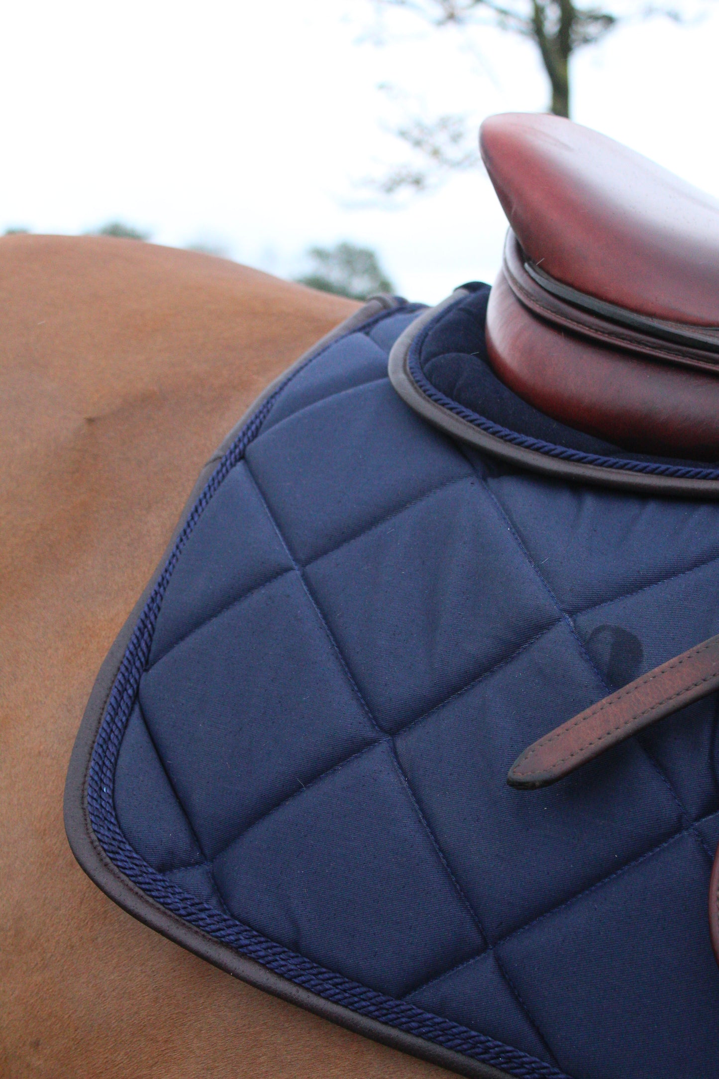 Leon - Refined+ - Midnight Blue with leather finish