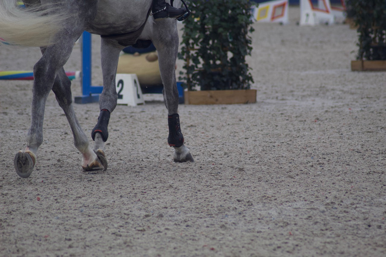 Premier Kevlar Tendon Boots