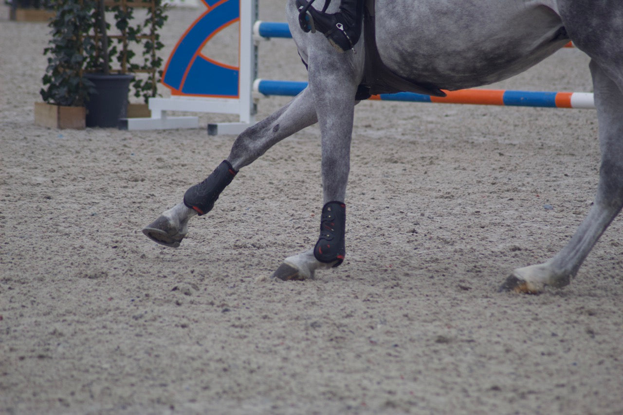 Premier Kevlar Tendon Boots