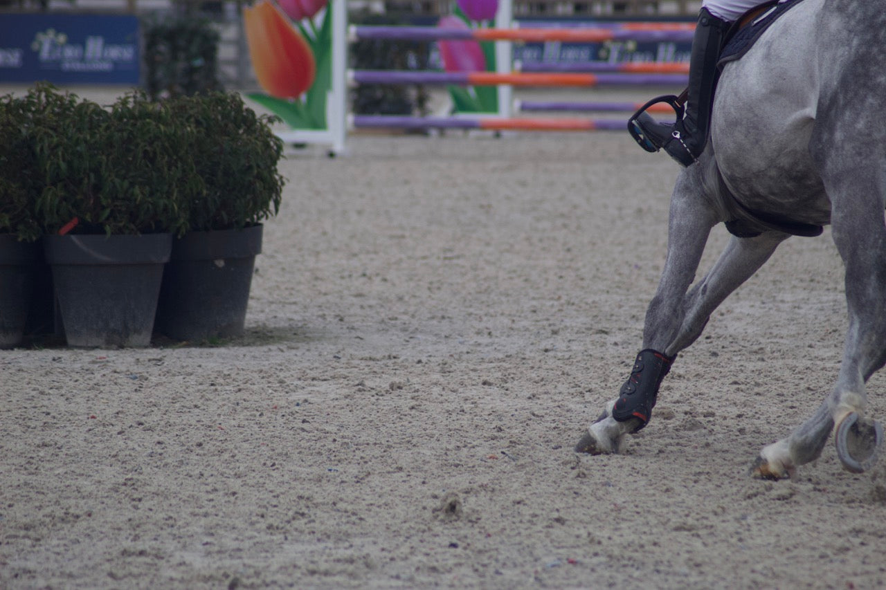 Premier Kevlar Fetlock
