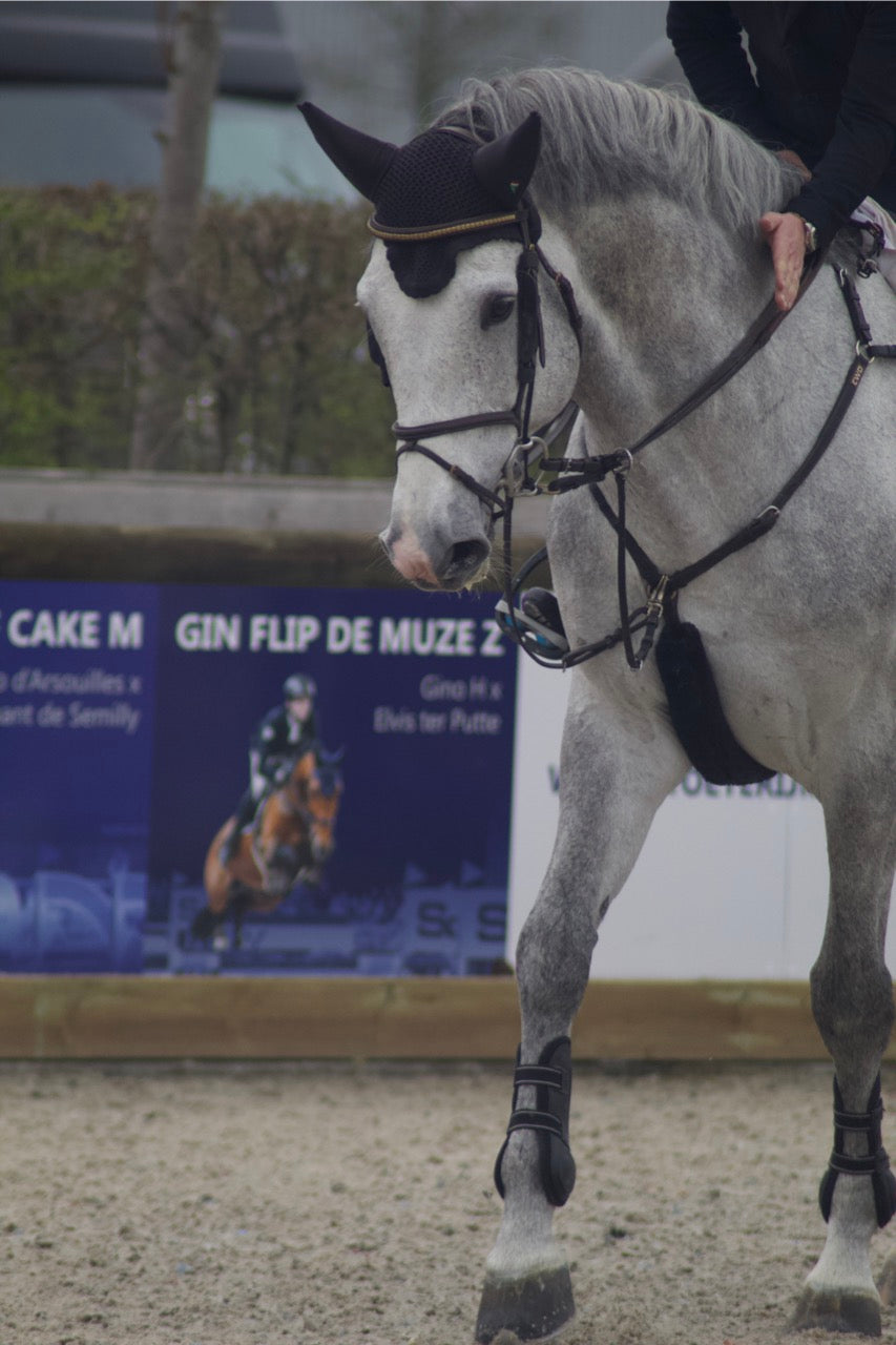 Premier Kevlar Fetlock