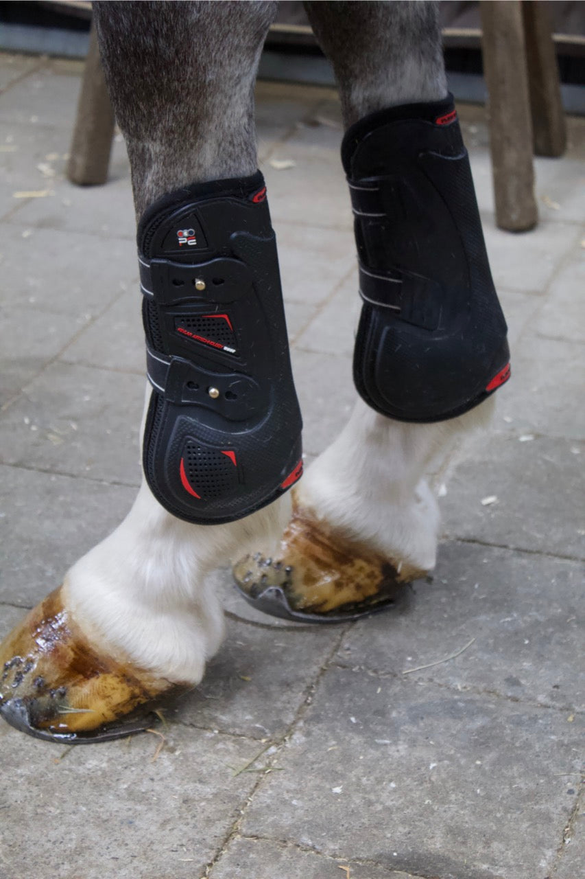 Premier Kevlar Tendon Boots