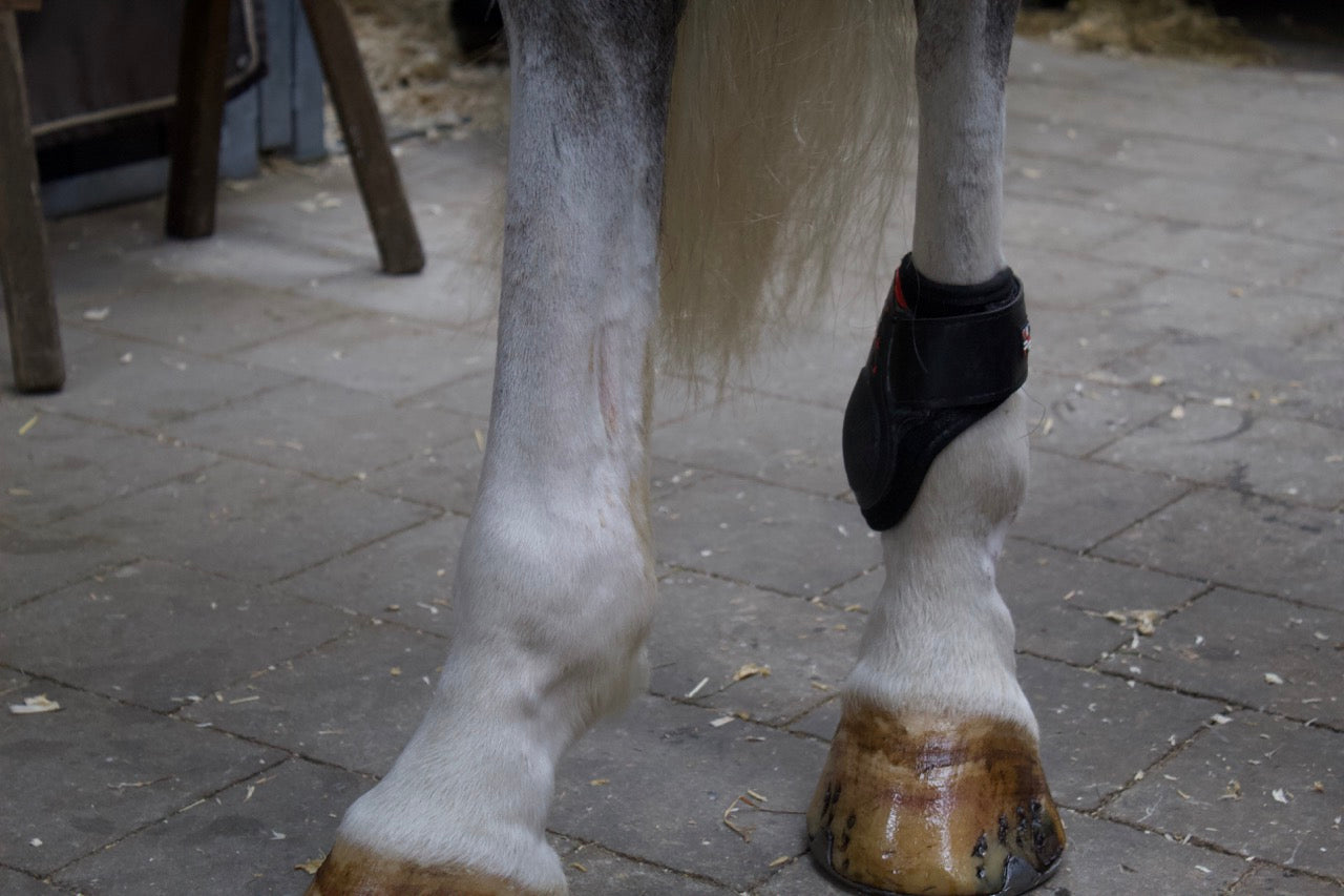Premier Kevlar Tendon Boots