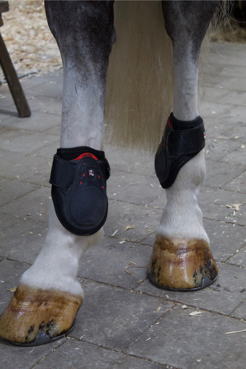 Premier Kevlar Tendon Boots