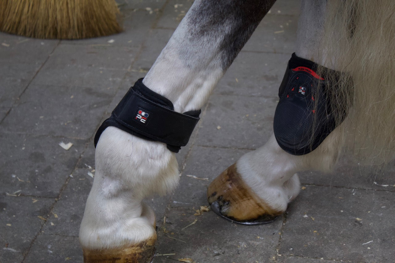 Premier Kevlar Tendon Boots