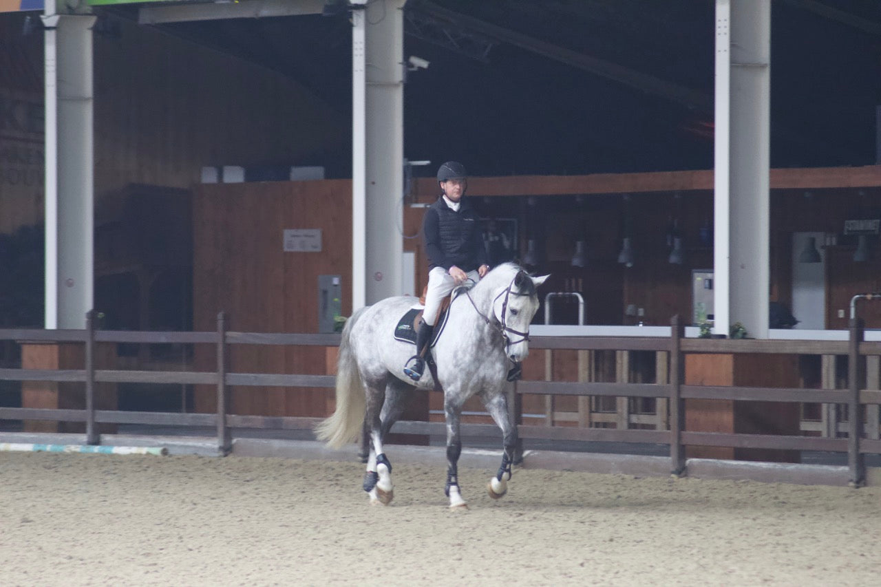 Premier Kevlar Tendon Boots