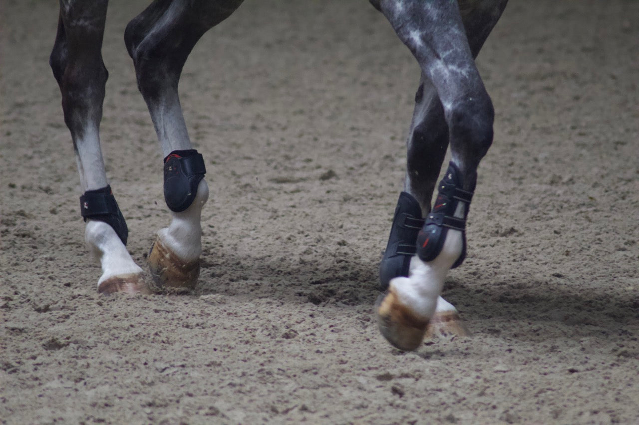 Premier Kevlar Tendon Boots