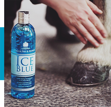 Health Care _ Ice Blue Leg cooler