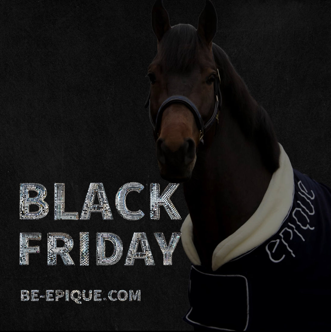 BLACK FRIDAY DEALS