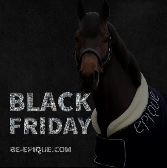 BLACK FRIDAY DEALS
