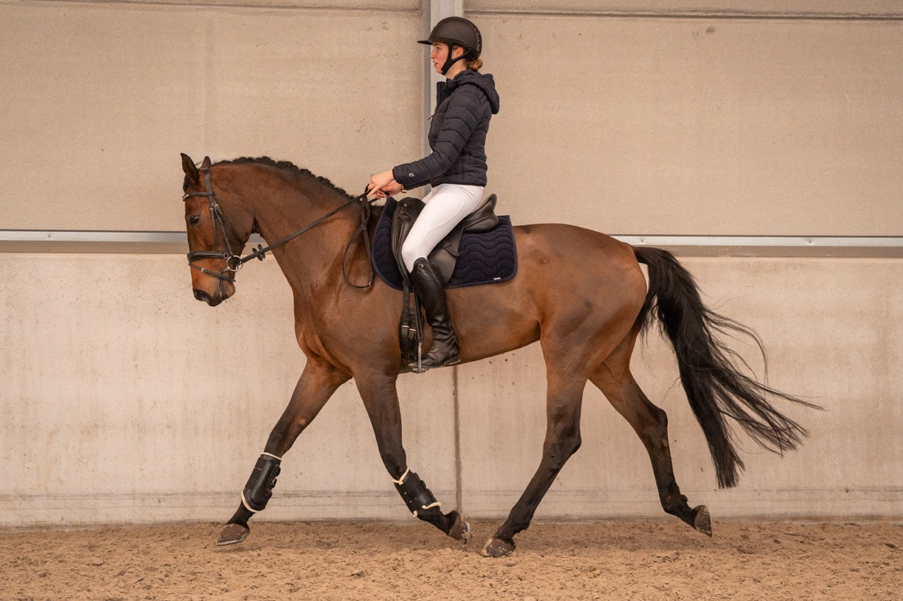 Supreme Collection - Competitie wit