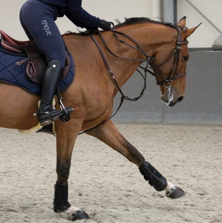 Kollektion Classique Chique – Reithosen für Damen