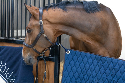Show Halter