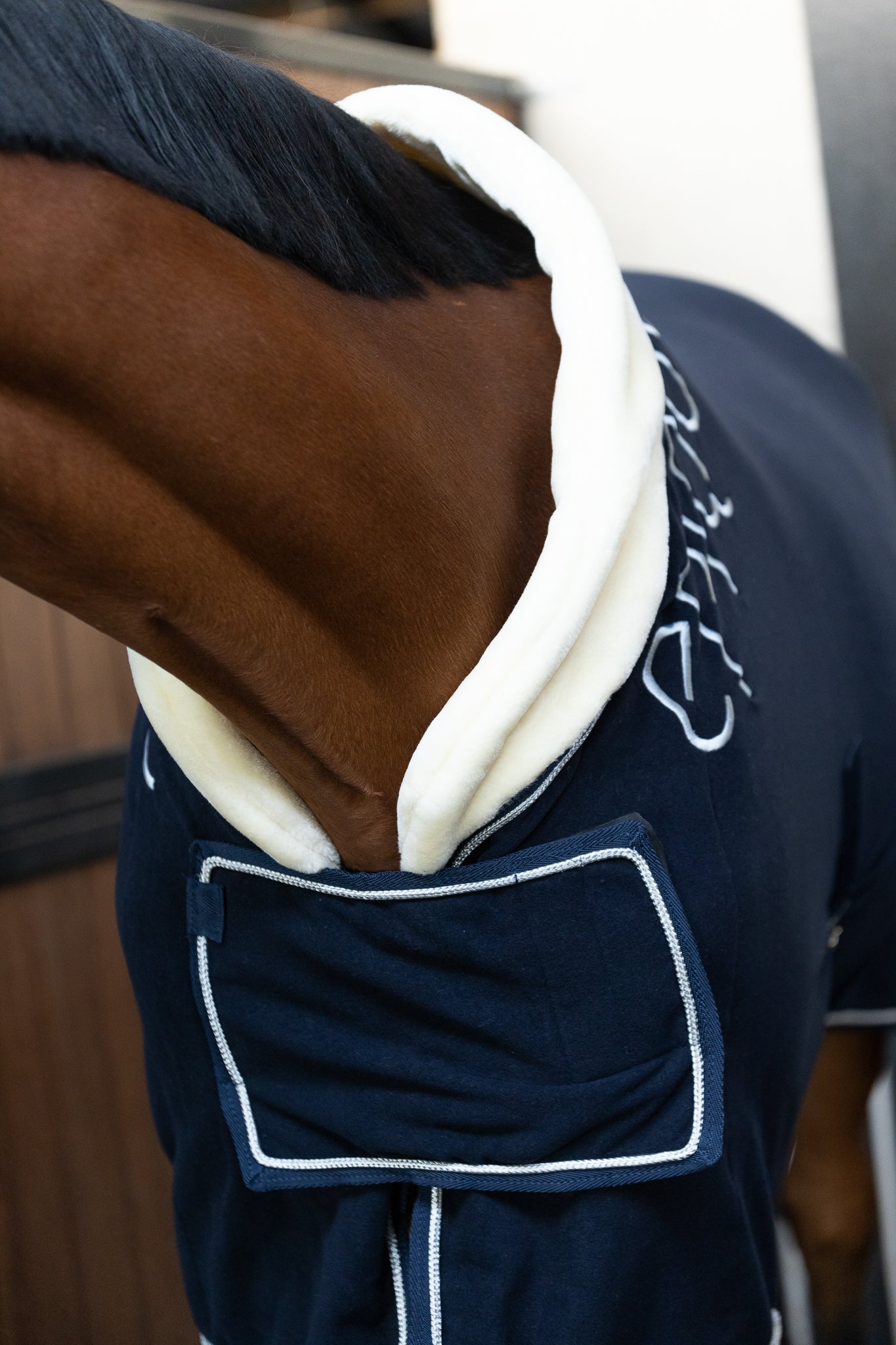 Show Rug 