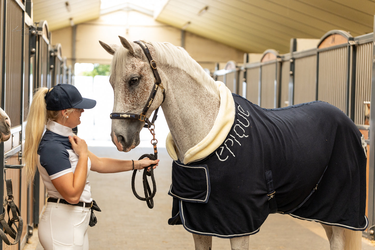 Show Rug 