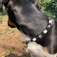 Perles EM - Paracorde - Torro