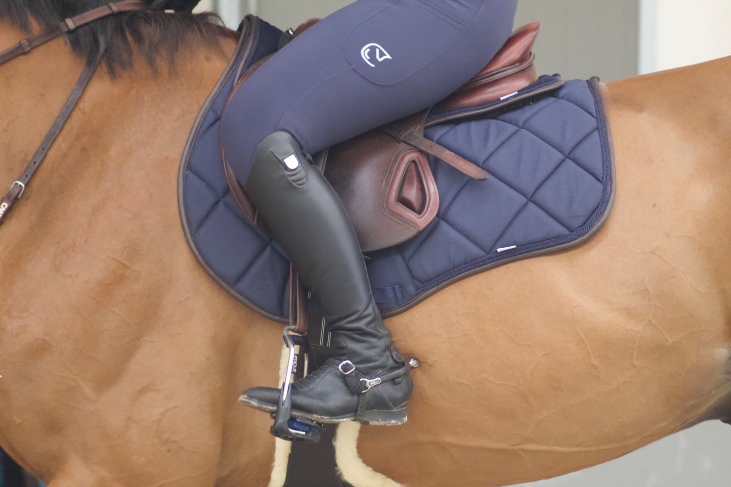 Kollektion Classique Chique – Reithosen für Damen