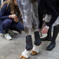 Premier Kevlar Tendon Boots 