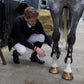 Premier Kevlar Tendon Boots 