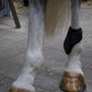 Premier Kevlar Tendon Boots 