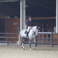 Premier Kevlar Tendon Boots 