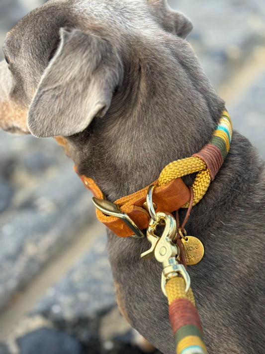 Golden Sun Halsband