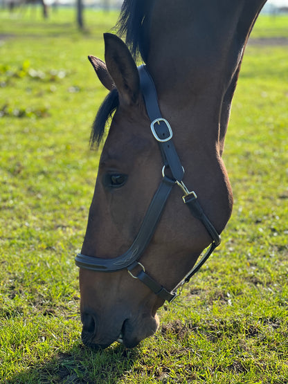 Show Halter