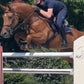 Classique Chique _ Blue _ Heren