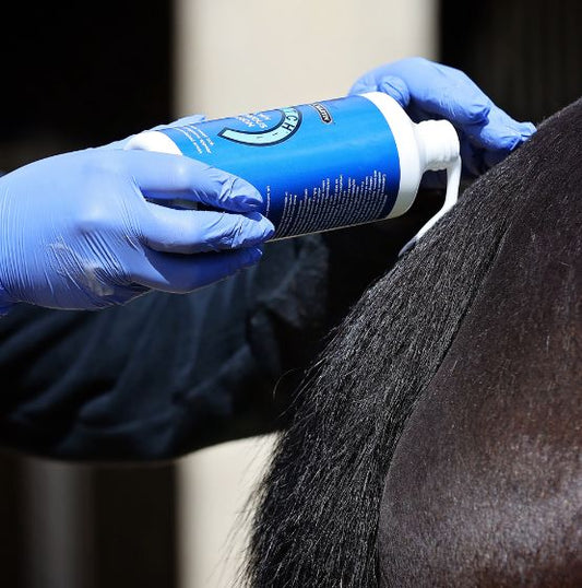 Killitch - De originele en bewezen lotion tegen jeuk