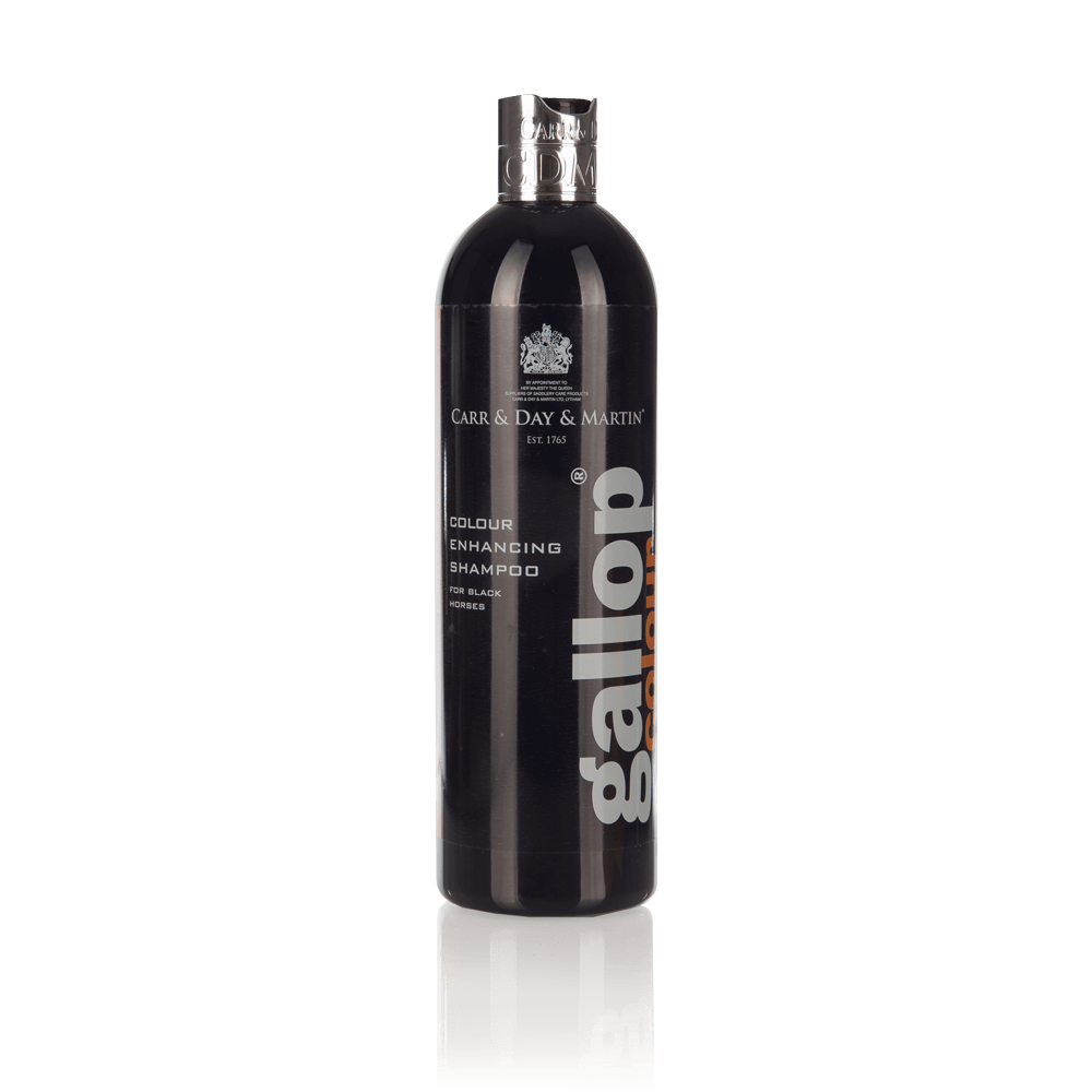 Gallop - Colour BLACK