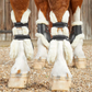Premier Kevlar Tendon bateau LAINE