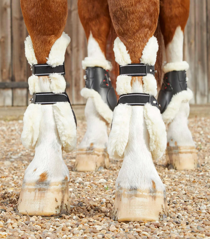Premier Kevlar Tendon boot WOOL