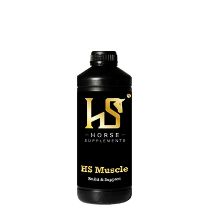 HS - MUSCLE