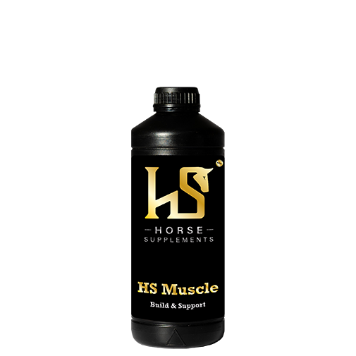HS - MUSCLE