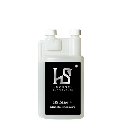HS - MAG+