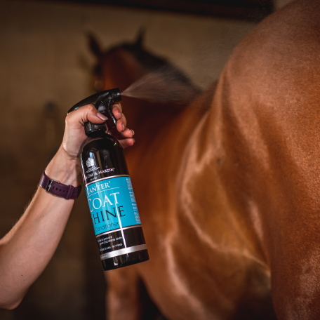 Canter Coat Shine