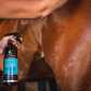 Canter Coat Shine