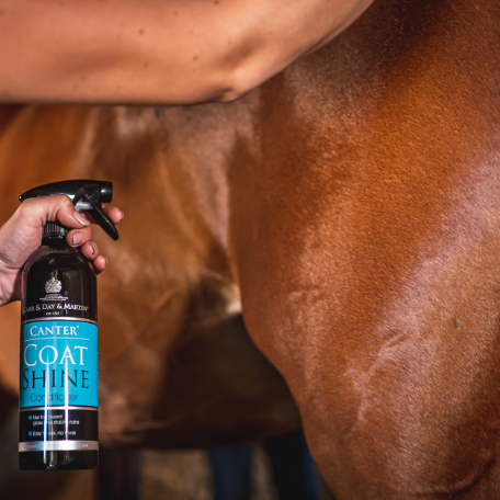 Canter Coat Shine