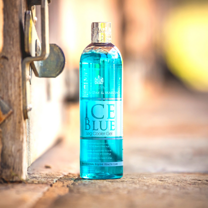 Soins de santé _ Glacière Ice Blue Leg 